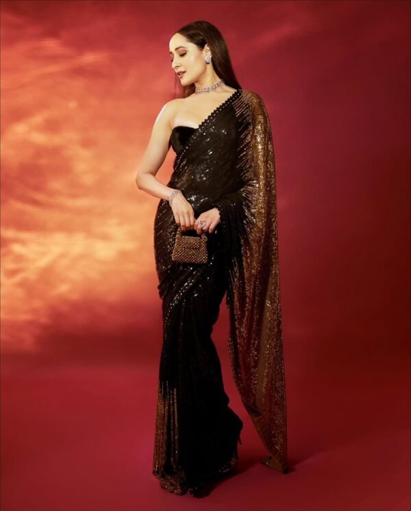 Black Georgette Sequin Saree with Embroidery Lace Border