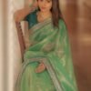 Green Twill Net Sequin Saree with Embroidery Work